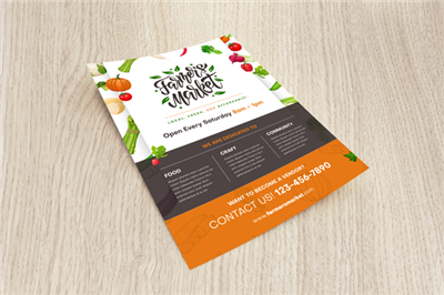 Color Flyers/Brochures - Letter